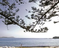 Terrigal Beach