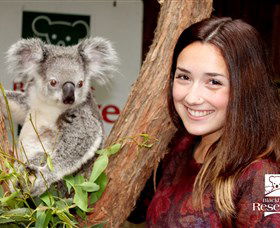 New Lambton NSW Attractions