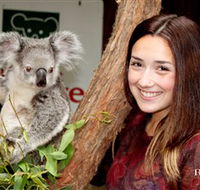 Blackbutt Reserve - Attractions