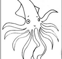 Squid Studio - Attractions