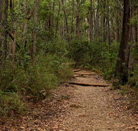 Pigeon House Mountain Didthul walking track - Attractions