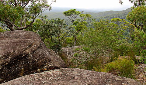 Pigeon House Mountain Didthul Walking Track - Attractions 1