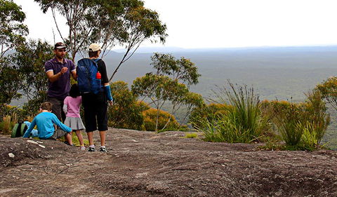 Pigeon House Mountain Didthul Walking Track - Attractions 2