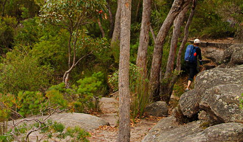 Pigeon House Mountain Didthul Walking Track - Attractions 3