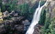 Minnamurra Rainforest Centre: Budderoo National Park - thumb 0