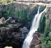 Minnamurra Rainforest Centre Budderoo National Park - Attractions