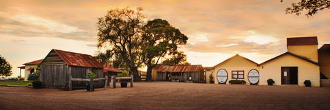 Tyrrells Vineyards - Attractions 2