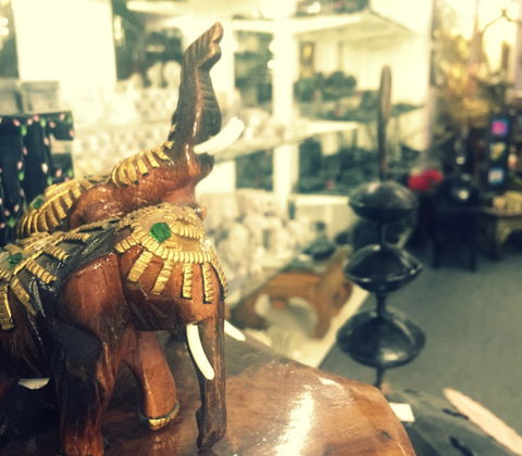 The Elephant Shop - Attractions 10