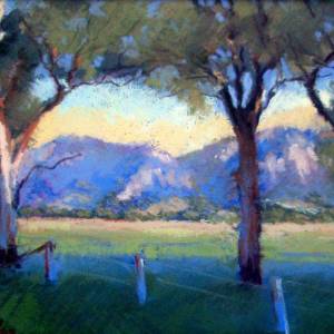 Galleries In The Gardens - Attractions 4