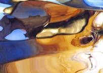 Art Aspects Gallery - Attractions 2