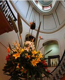 Elizabeth Bay House - Attractions 4