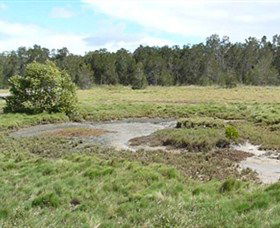 Boondall Wetlands Reserve - Attractions 1