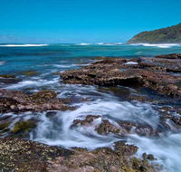 Wyrrabalong National Park - Attractions