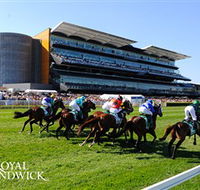 Royal Randwick Racecourse - Attractions