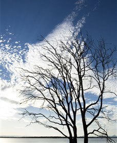 Nudgee QLD Attractions