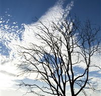 Nudgee Beach - Attractions