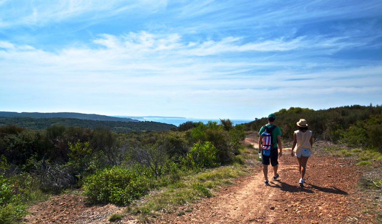 Moonee NSW Attractions