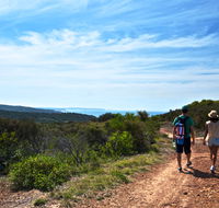 Moonee Beach trail - Attractions