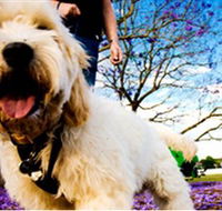 Tuckeroo Park - Attractions