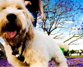 Tuckeroo Park - Attractions 0