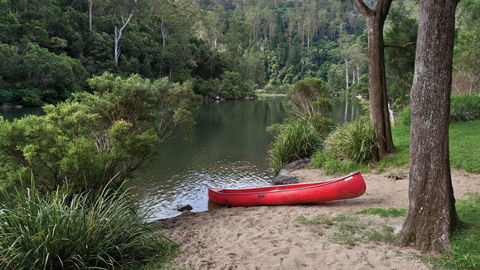Nymboi-Binderay National Park - Attractions 1