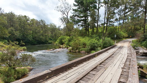 Nymboi-Binderay National Park - Attractions 2