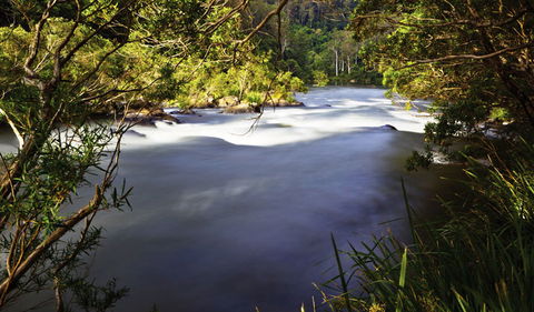 Nymboi-Binderay National Park - Attractions 0