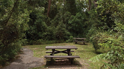 Nymboi-Binderay National Park - Attractions 3