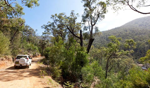 Wadbilliga Road Drive - Attractions 1