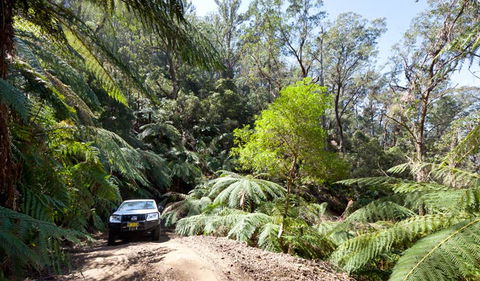 Wadbilliga Road Drive - Attractions 3