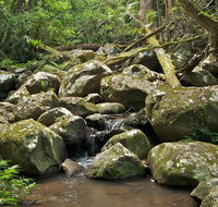 Booyong walking track - Attractions