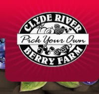 Clyde River Berry Farm - Attractions