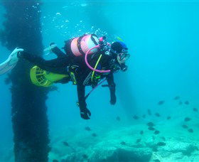 Shellharbour Scuba & Photography Centre - Attractions 0