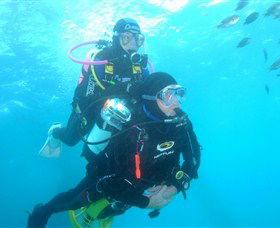 Shellharbour Scuba & Photography Centre - Attractions 1
