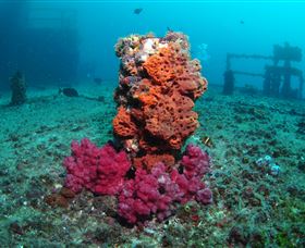 HMAS Brisbane Dive Site - Attractions Las Vegas 0