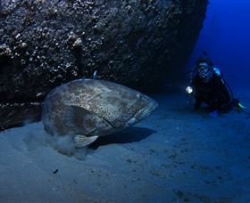 HMAS Brisbane Dive Site - Attractions Las Vegas 3