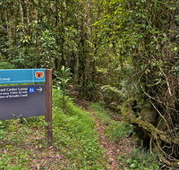 Red Cedar loop - Attractions