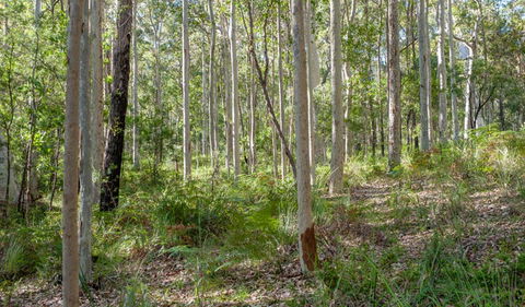 Anabranch Loop Track - Attractions 2
