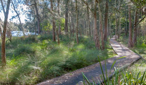 Anabranch Loop Track - Attractions 3