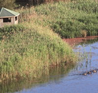 Spring Creek Bird Hide - Attractions