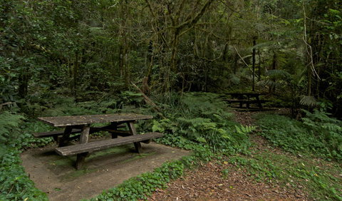 Brindle Creek Picnic Area - Attractions 2