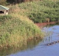 Spring Creek Wetlands Walk - Attractions