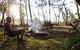 Clyde River National Park - thumb 3