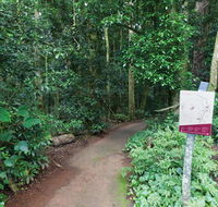 Walk with the Birds boardwalk - Attractions