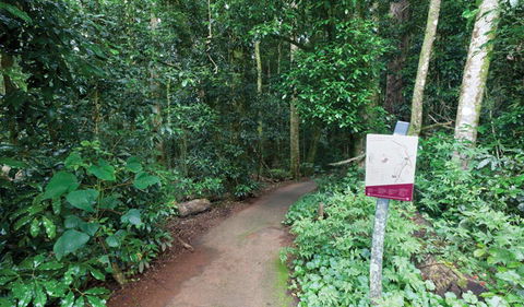 Walk With The Birds Boardwalk - Attractions 0