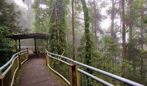 Walk With The Birds Boardwalk - Attractions 3