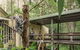 Daisy Hill Koala Centre - thumb 0