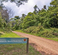 Antarctic Beech picnic area - Attractions