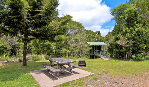 Antarctic Beech Picnic Area - Attractions 1
