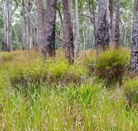 Narrawallee Inlet walking track - Attractions